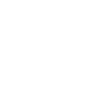 tag icon