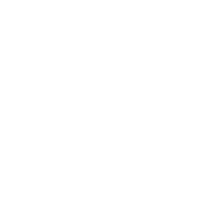 cross icon